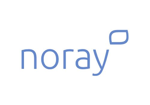Noray logo